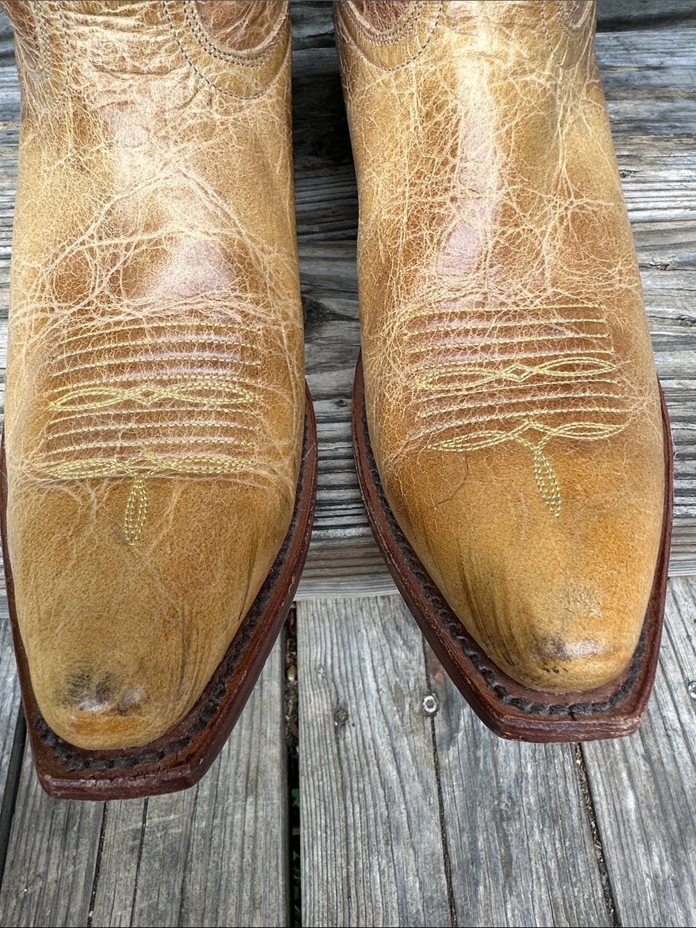 Johnny Ringo cowboy cowgirl boots - Picture 9 of 9